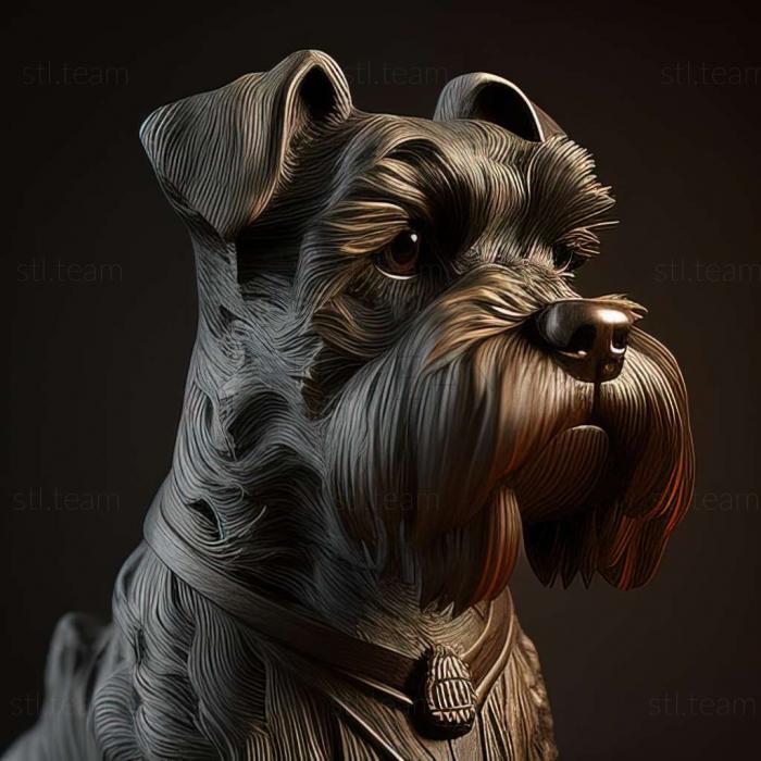 Zwergschnauzer dog